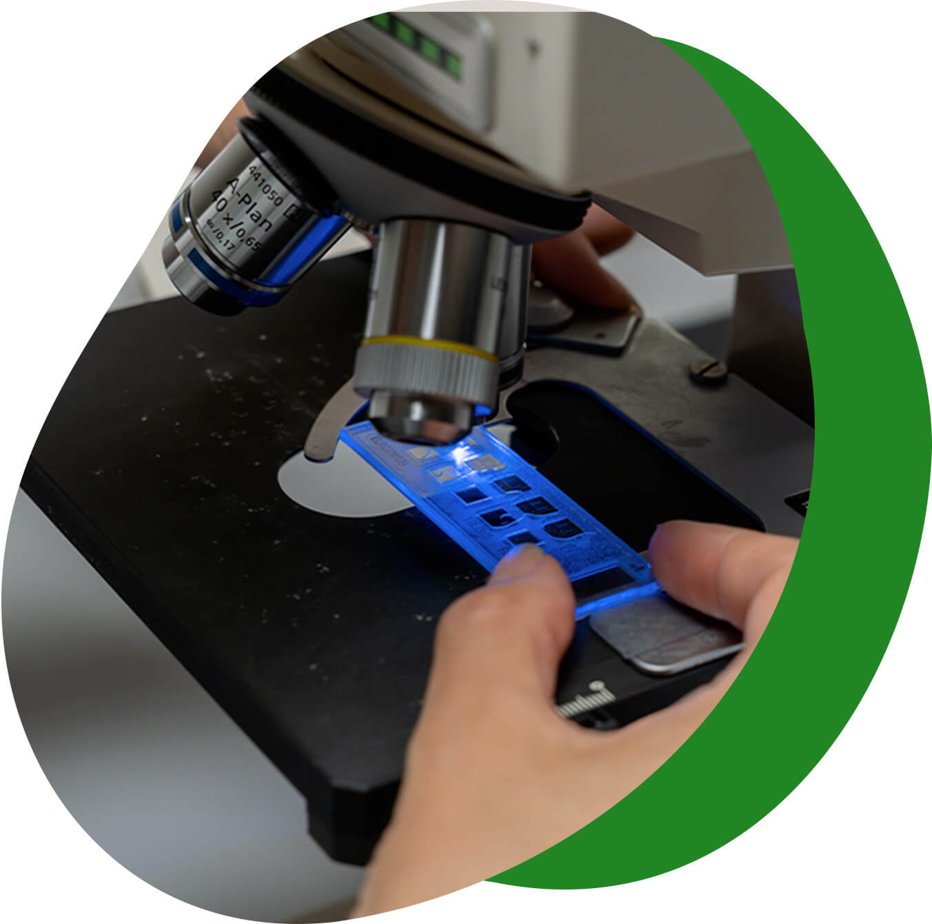 analisi microscopica per esami neurologici - Laboratorio Euroimmun