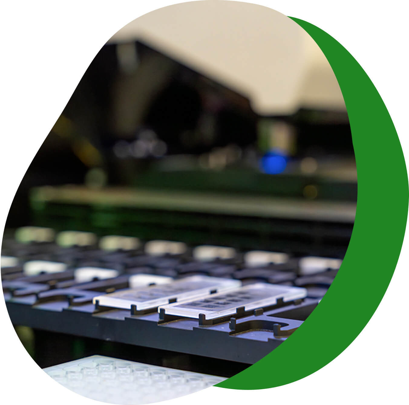 test specialisti per il trattamento di malattie autoimmuni - Laboratorio Euroimmun