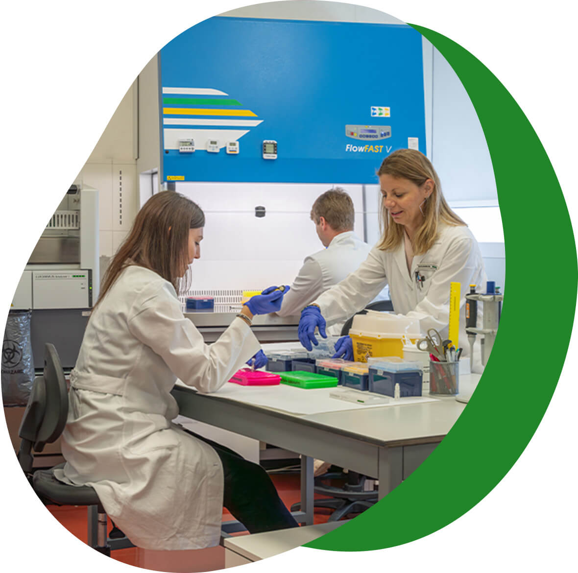 Analisi campioni Laboratorio Euroimmun