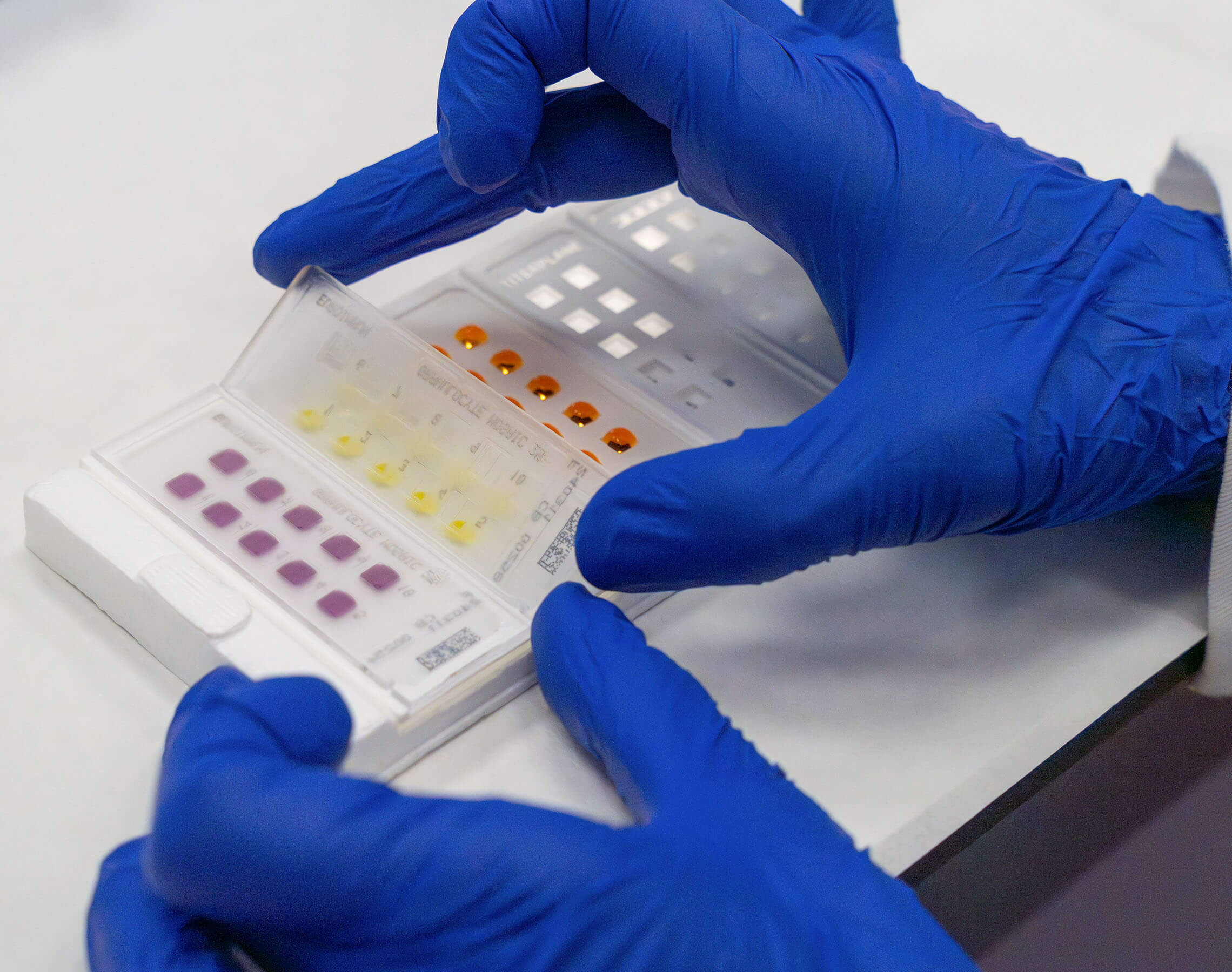 card diagnostica con reagenti colorati - Laboratorio Euroimmun