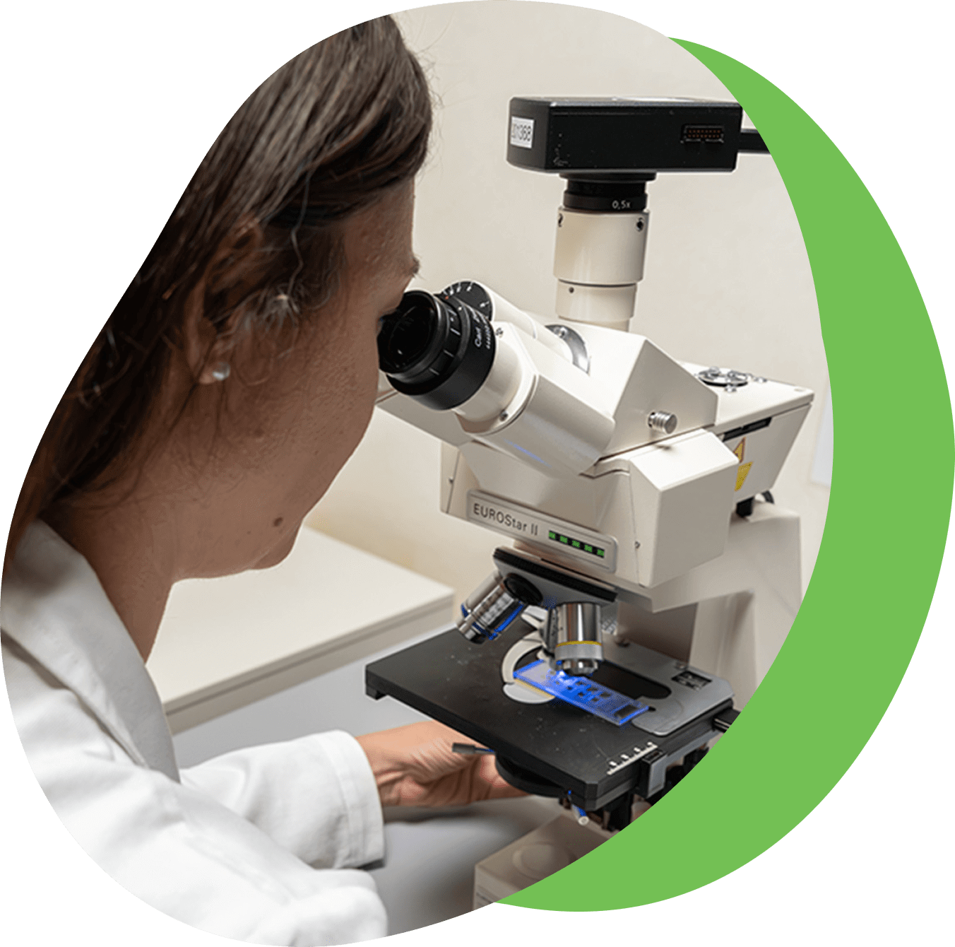 Analisi microscopica di un campione in laboratorio Euroimmun